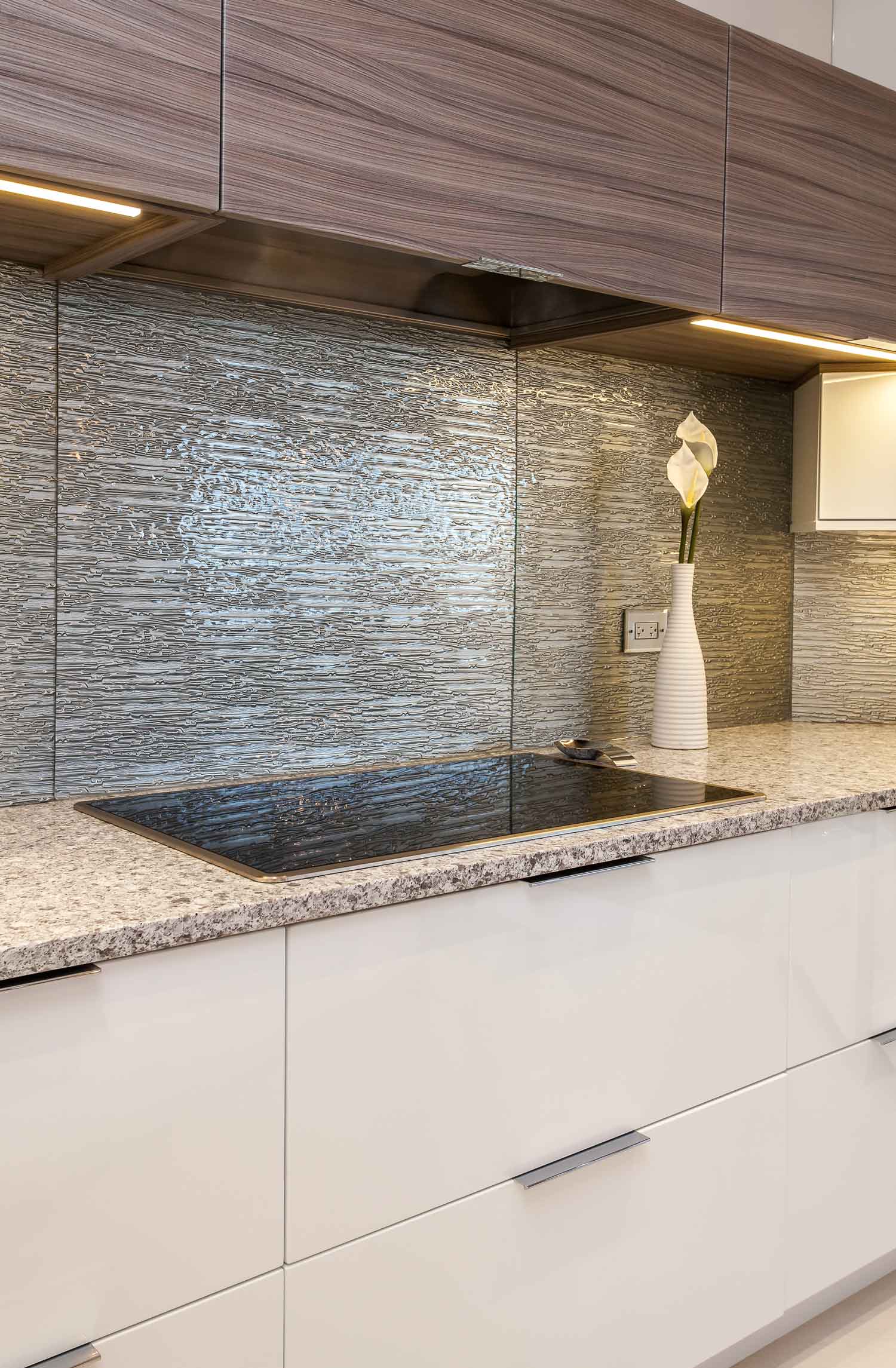 sleek contemporary kitchen renovation denver colorado