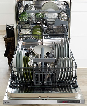 dishwasher specials